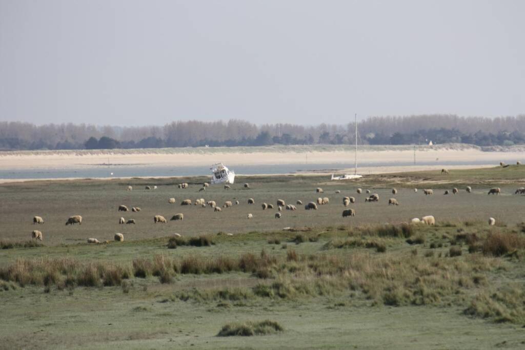 Ouest De La Pointe D'agon Agon-Coutainville
